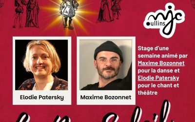 Stage Eté Comédie Musicale Adultes